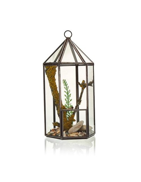Terrarium en verre - Lanterne 9,5×9,5×20 cm