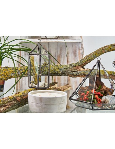 Terrarium en verre - Lanterne 9,5×9,5×20 cm