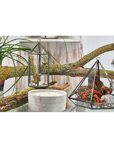 Terrarium en verre - Lanterne 9,5×9,5×20 cm