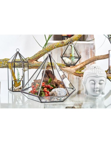 Terrarium en verre - Lanterne 9,5×9,5×20 cm
