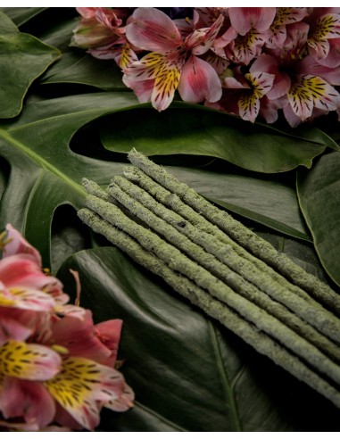 Encens botanique – Thé vert & Champa