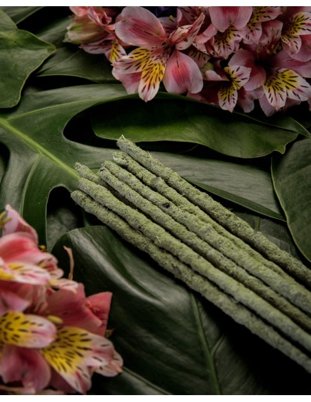 Encens botanique – Thé vert & Champa