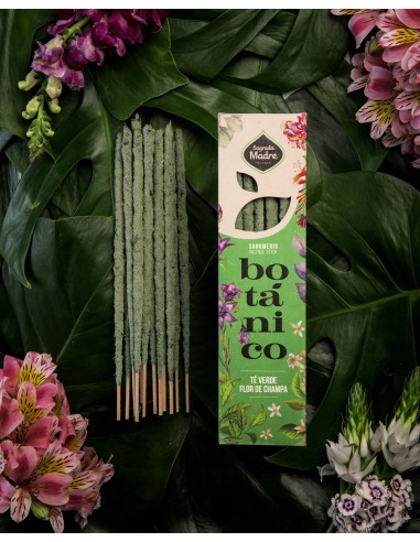 Encens botanique – Thé vert & Champa