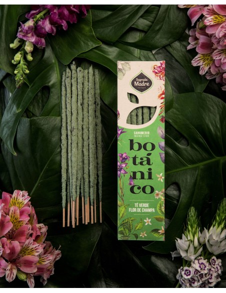 Encens botanique – Thé vert & Champa