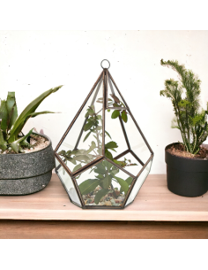Terrarium en verre pentagonal – Jardin zen