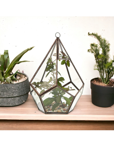 Terrarium en verre pentagonal – Jardin zen