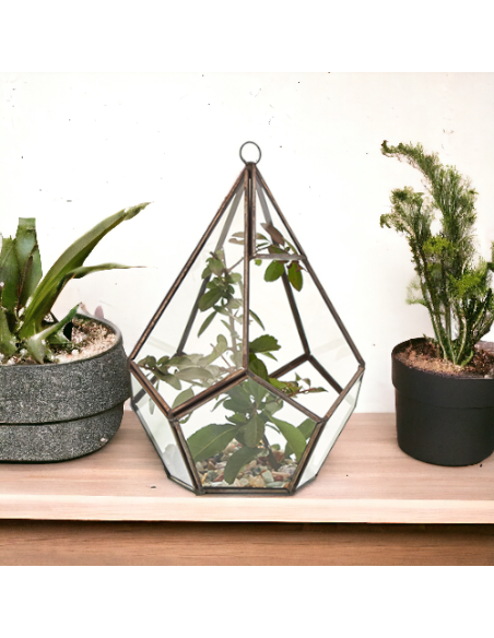 Terrarium en verre pentagonal – Jardin zen