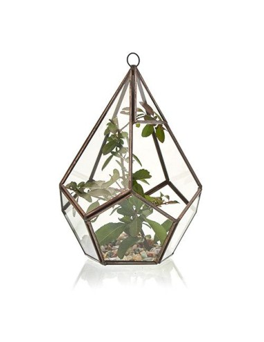 Terrarium en verre pentagonal – Jardin zen