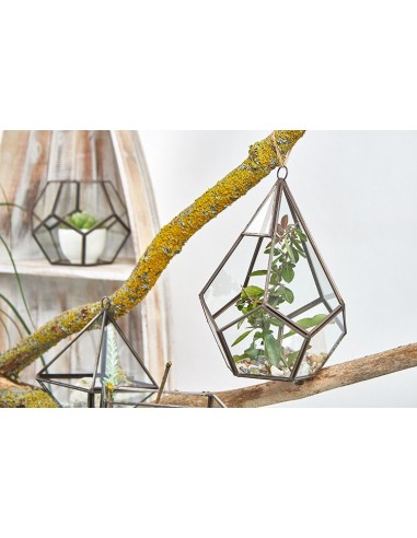 Terrarium en verre pentagonal – Jardin zen