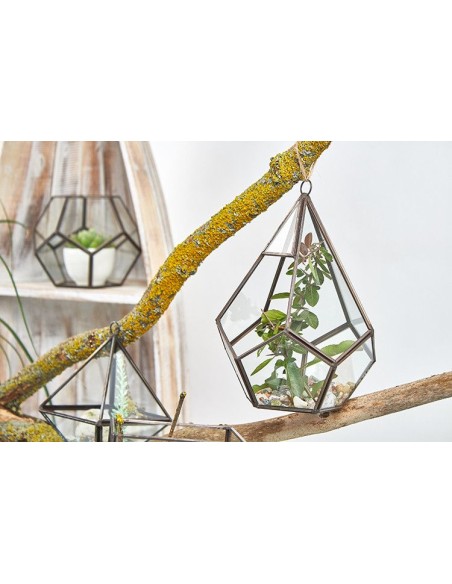 Terrarium en verre pentagonal – Jardin zen