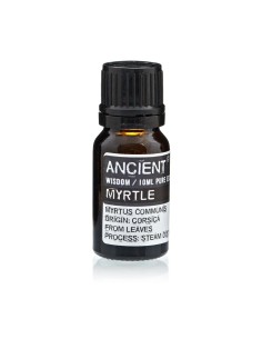 Huile essentielle de myrte – Fraîcheur méditerranéenne zen