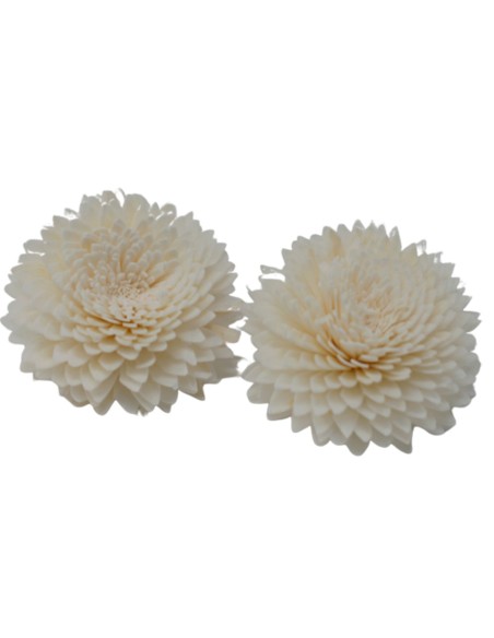 Diffuseur décoratif à fleurs naturelles – Œillet grand sur corde