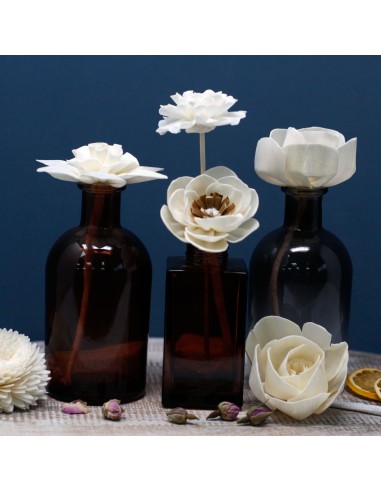 Diffuseur décoratif à fleurs naturelles – Œillet grand sur corde