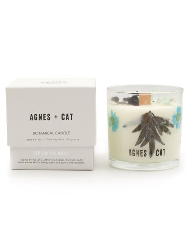 Agnes + Cat – Bougie botanique en cire de soja « Sel marin & mousse »