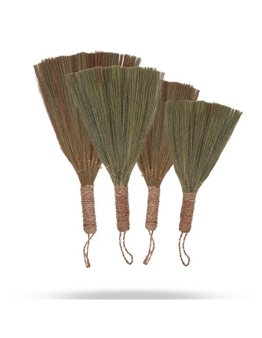 Décor mural en pampas – Éventails naturels