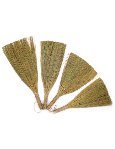 Décor mural en pampas – Éventails naturels