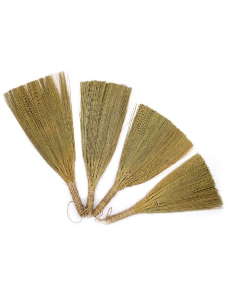 Décor mural en pampas – Éventails naturels
