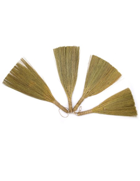 Décor mural en pampas – Éventails naturels