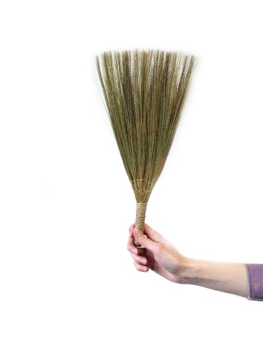 Décor mural en pampas – Éventails naturels