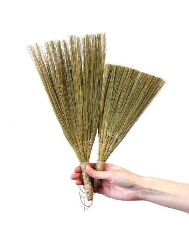 Décor mural en pampas – Éventails naturels