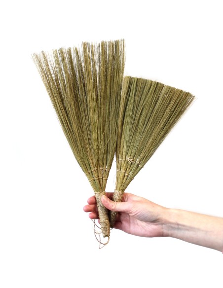 Décor mural en pampas – Éventails naturels