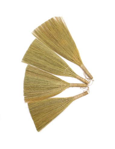 Décor mural en pampas – Éventails naturels