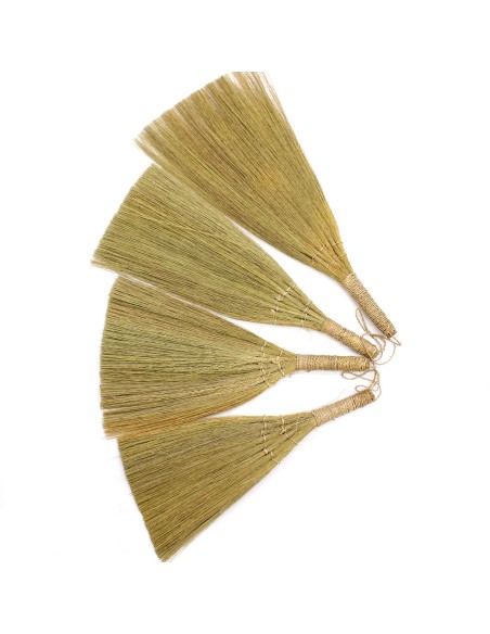 Décor mural en pampas – Éventails naturels