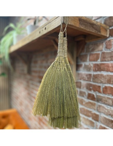 Décor mural en pampas – Éventails naturels