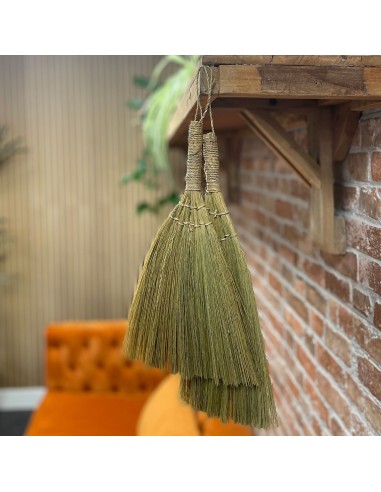 Décor mural en pampas – Éventails naturels