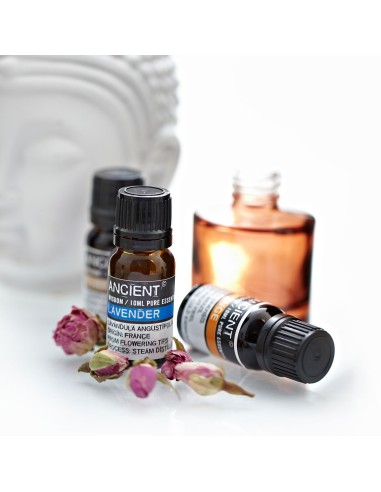 Huile essentielle de lavande – Classic zen