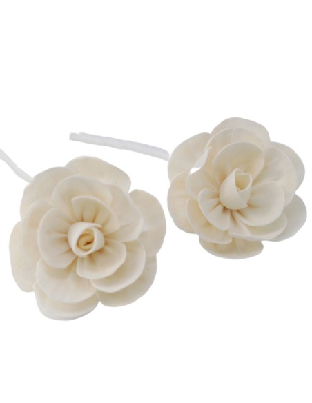 Fleurs naturelles pour diffuseur – Lotus grand sur corde
