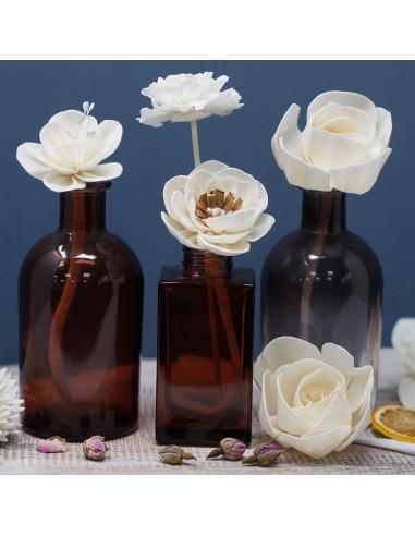 Fleurs naturelles pour diffuseur – Lotus grand sur corde
