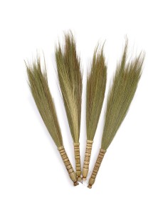 Décor mural pampas – Nature épurée zen
