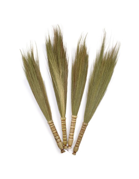 Décor mural pampas – Nature épurée zen