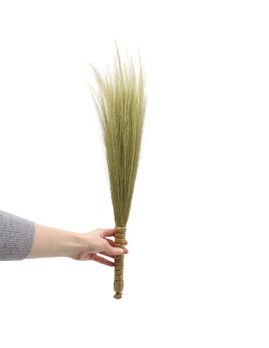 Décor mural pampas – Nature épurée zen