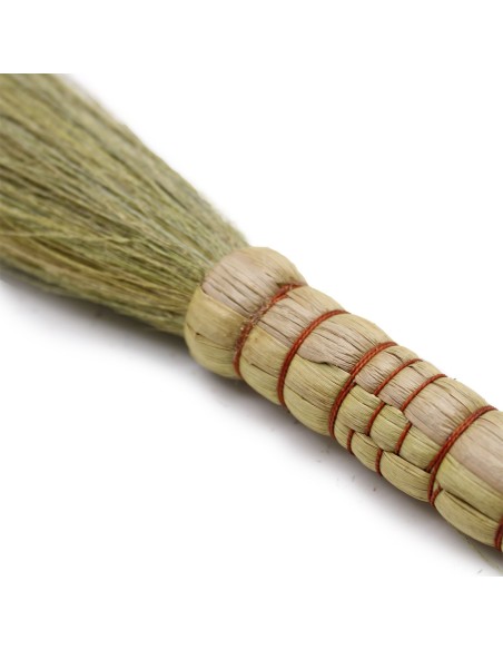 Décor mural pampas – Nature épurée zen