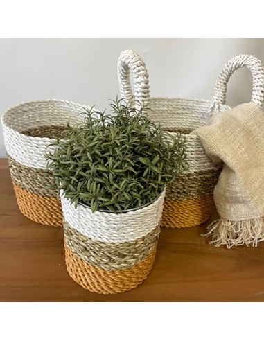 Paniers tressés en algues marines – Trio naturel