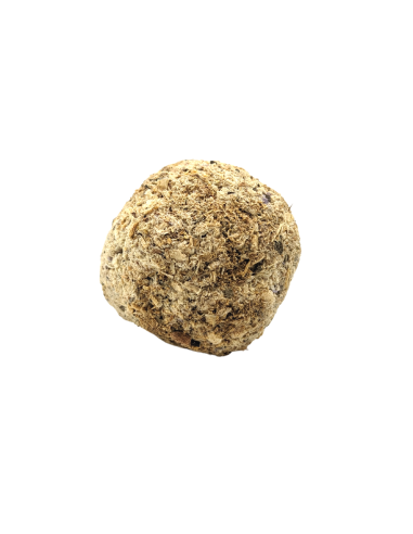 Boîte 4 pastilles d’encens - Palo Santo