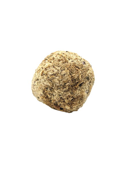 Boîte 4 pastilles d’encens - Palo Santo