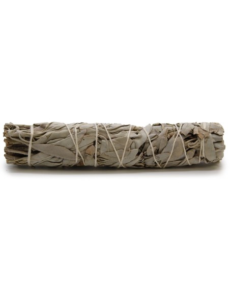 Fagot d’herbes - Sauge blanche 15 cm