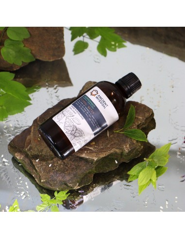 Hydrolat de menthe – Fraîcheur zen