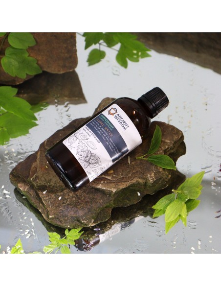 Hydrolat de menthe – Fraîcheur zen