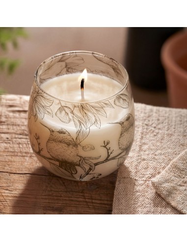 Bougies en pot en verre de taille moyenne - Tirées à la flamme