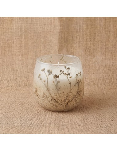 Bougies dans de petits bocaux en verre - Wildlight Woods