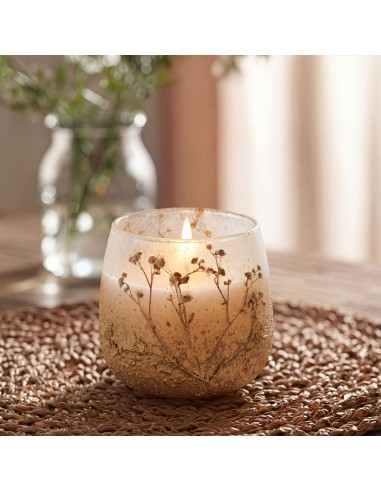 Bougies dans un bocal en verre moyen - Wildlight Woods