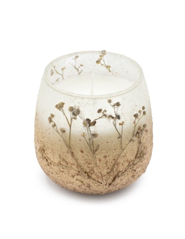 Bougies dans un bocal en verre moyen - Wildlight Woods