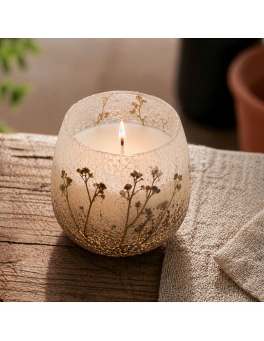 Bougies dans un bocal en verre moyen - Wildlight Woods