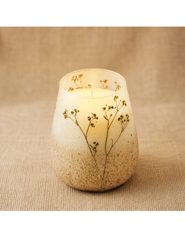 Bougies en pot en verre hautes - Wildlight Woods
