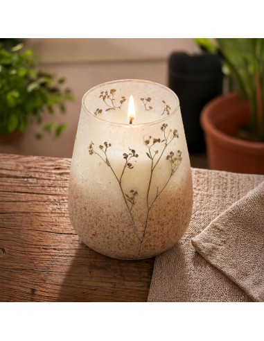 Bougies en pot en verre hautes - Wildlight Woods