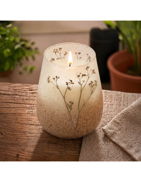 Bougies en pot en verre hautes - Wildlight Woods